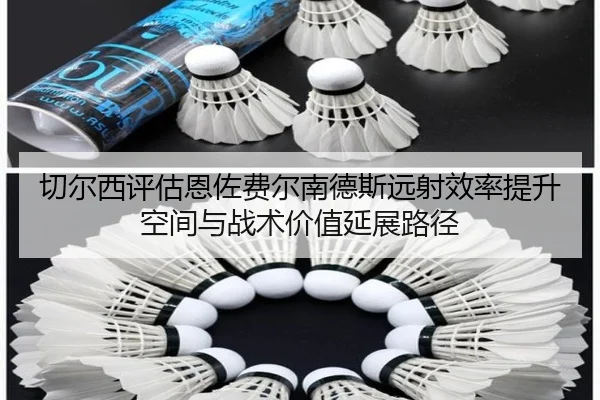 切尔西评估恩佐费尔南德斯远射效率提升空间与战术价值延展路径